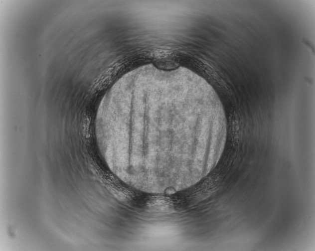 X0000101160750200807251110
