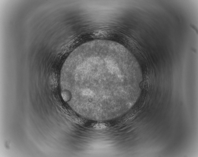 X0000101160751200807251110