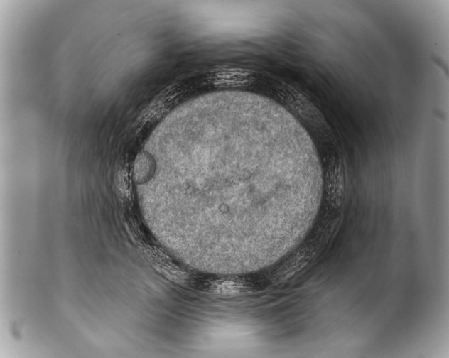 X0000101160755200807251110