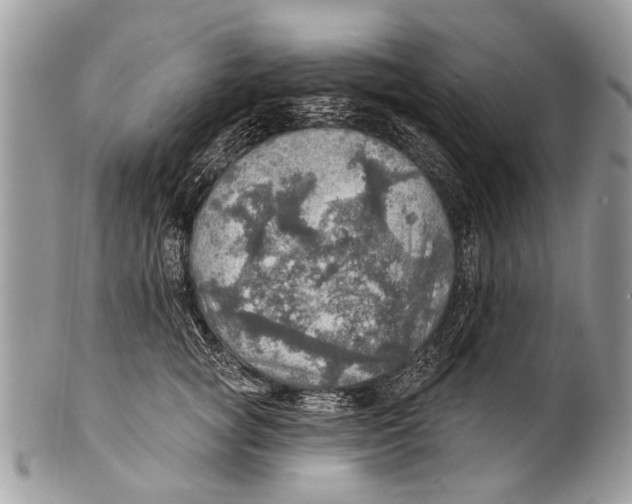 X0000101160757200807251110