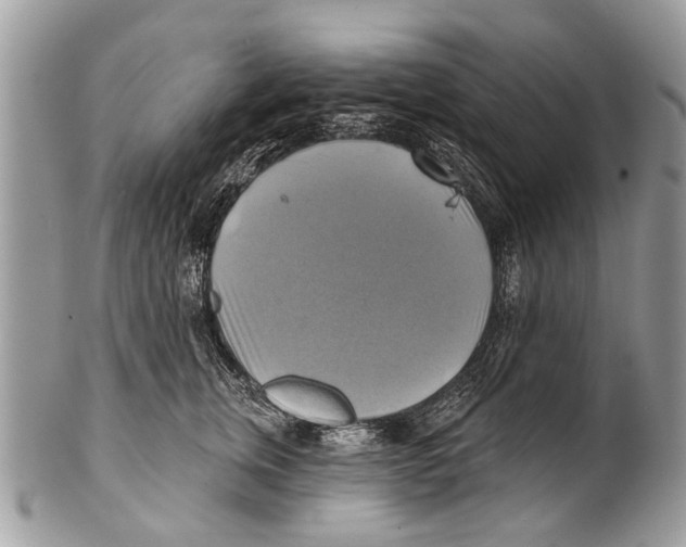 X0000101160759200807251110