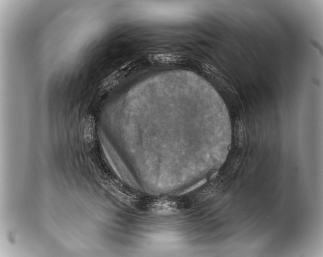 X0000101160760200807251110