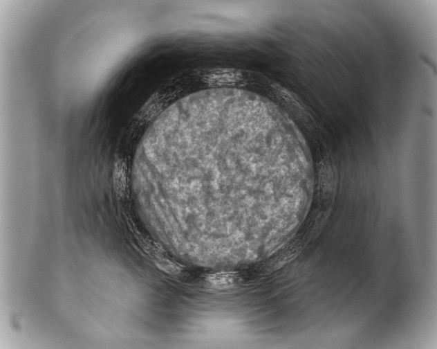 X0000101160761200807251110