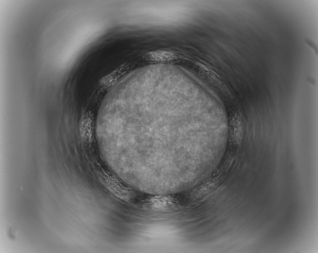 X0000101160762200807251110