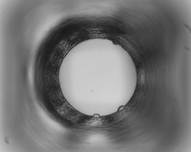 X0000101160764200807251111