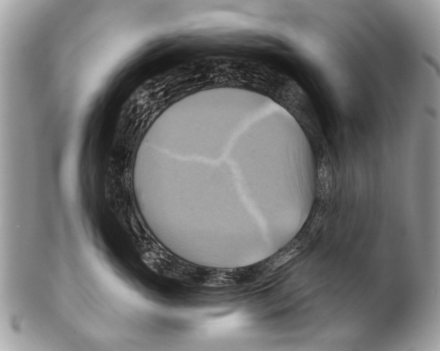 X0000101160765200807251111