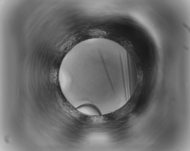 X0000101160767200807251111