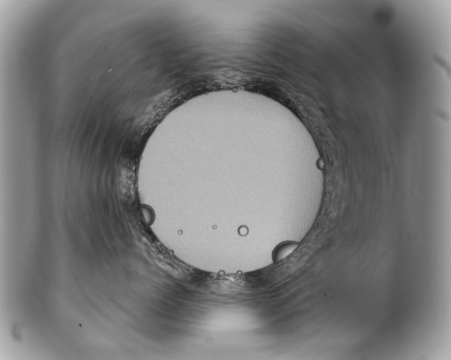 X0000101160768200807251111