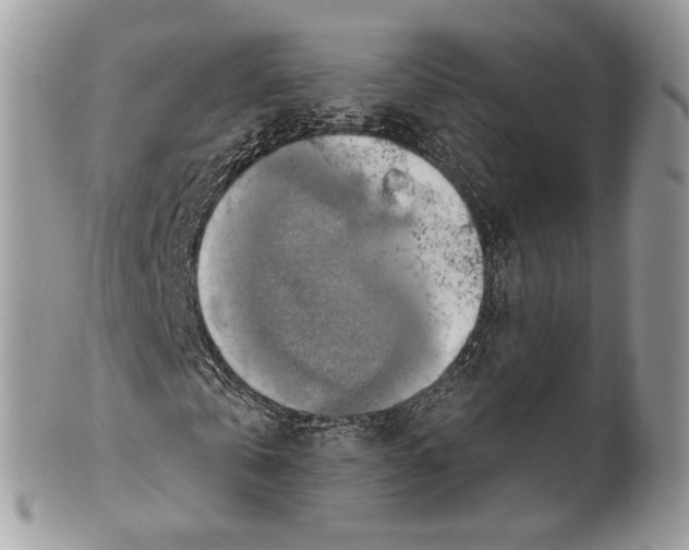 X0000101160769200807251110