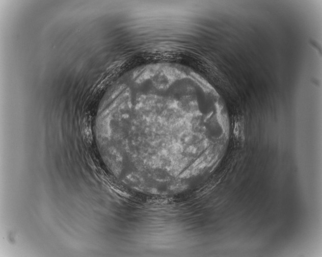 X0000101160771200807251110