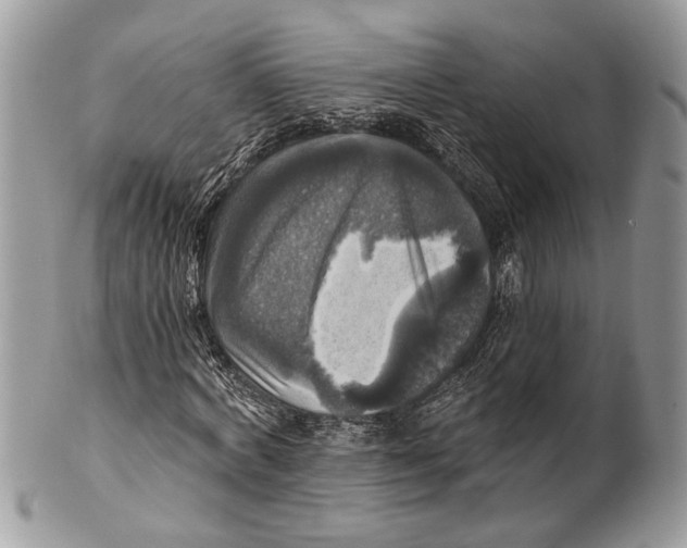 X0000101160772200807251110