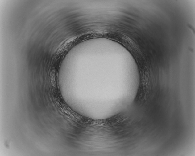 X0000101160773200807251110