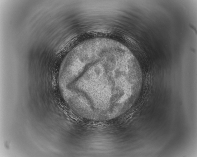 X0000101160774200807251110