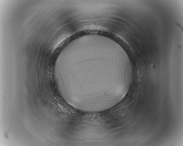 X0000101160775200807251110