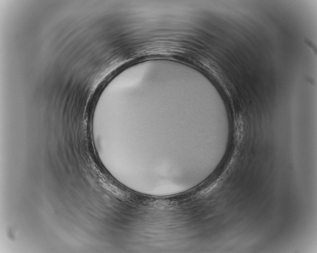 X0000101160779200807251110