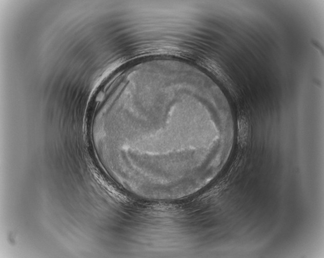 X0000101160780200807251110