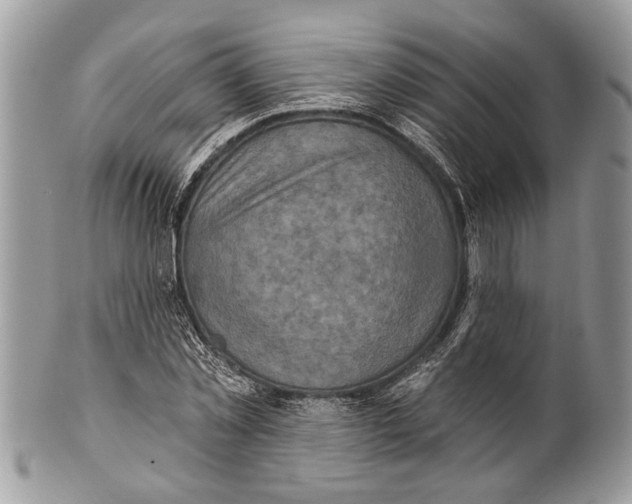 X0000101160781200807251110