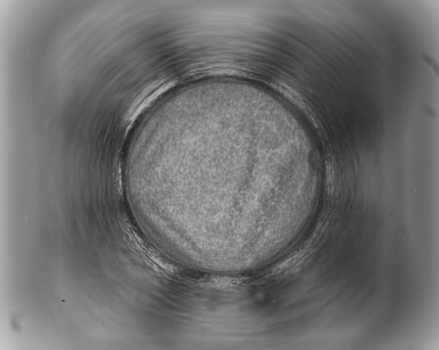 X0000101160782200807251110