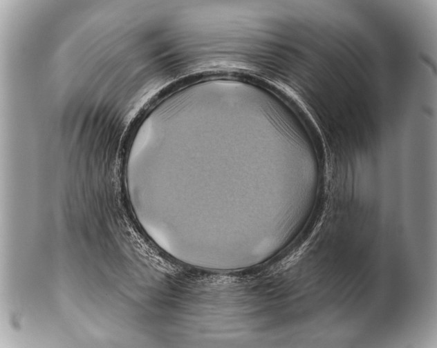 X0000101160783200807251110