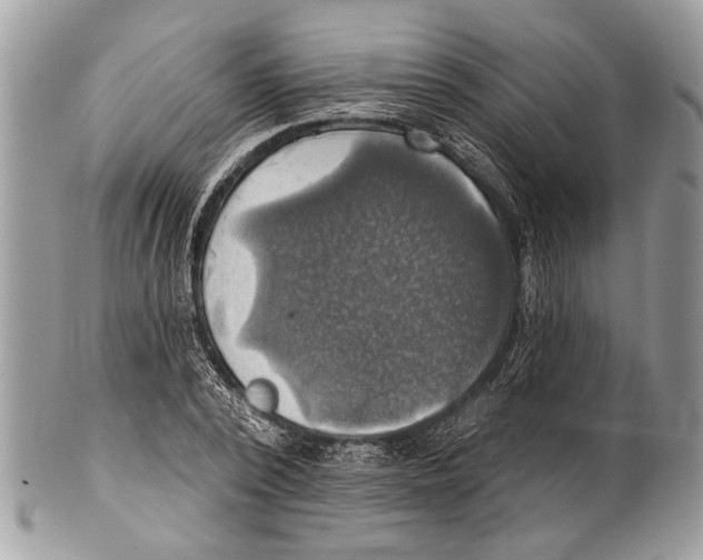X0000101160784200807251110