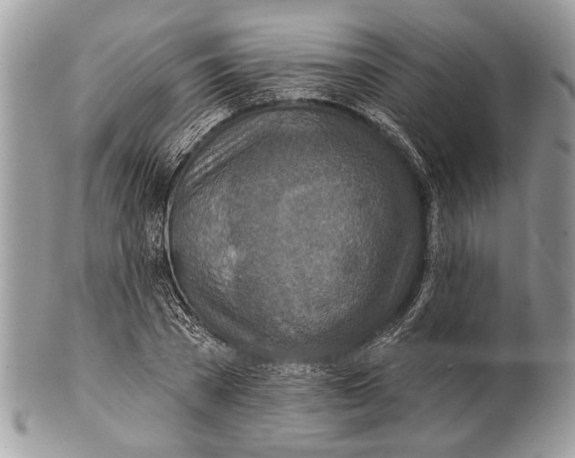 X0000101160785200807251110