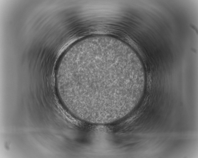 X0000101160787200807251110