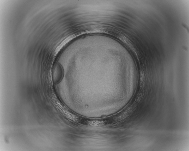 X0000101160789200807251110