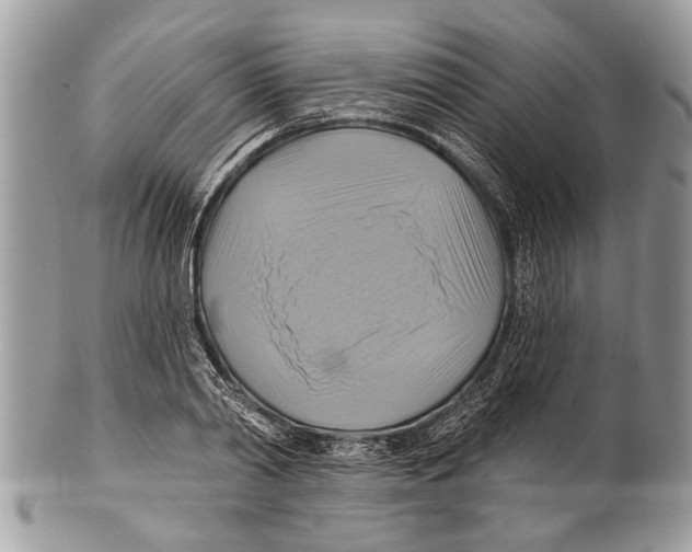 X0000101160790200807251110