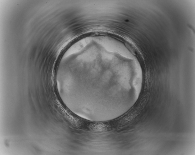 X0000101160791200807251110