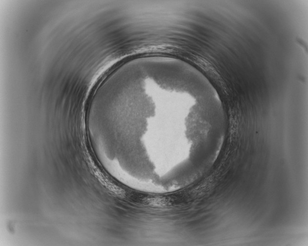 X0000101160792200807251110