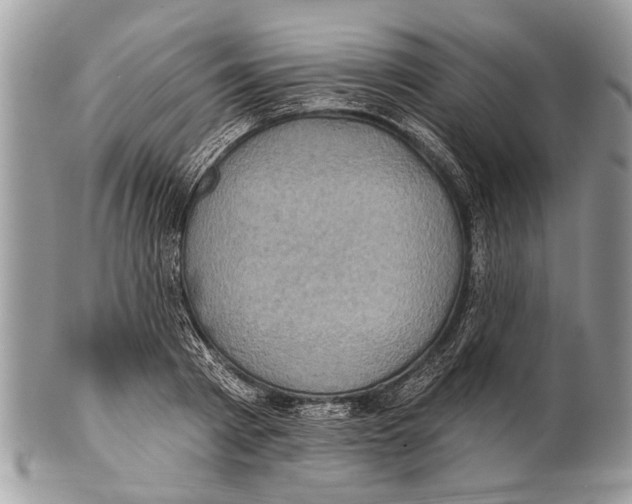 X0000101160793200807251110