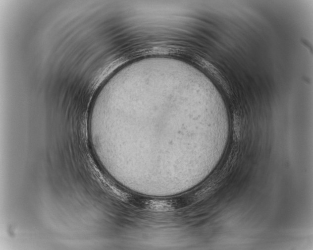 X0000101160794200807251110
