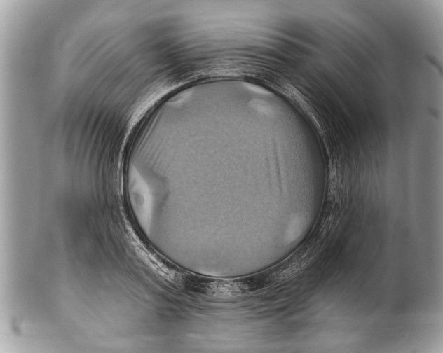 X0000101160795200807251110