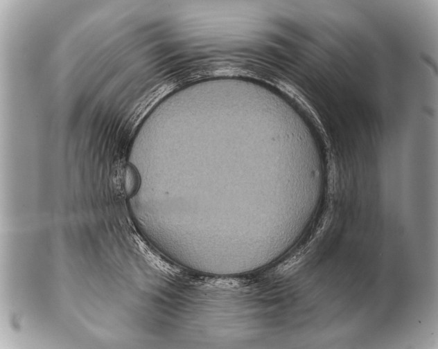 X0000101160801200807251109
