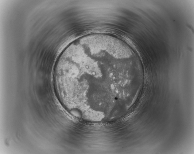 X0000101160803200807251109