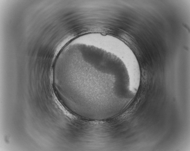 X0000101160804200807251109