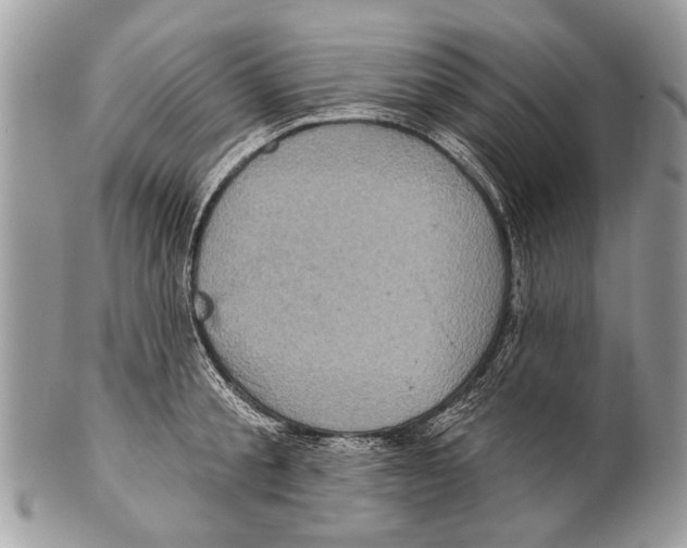 X0000101160805200807251109