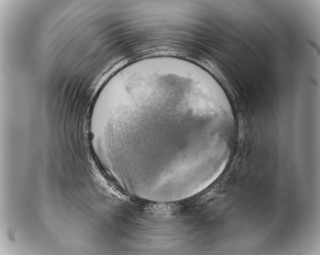 X0000101160806200807251109