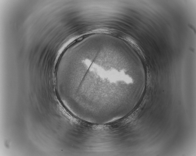 X0000101160808200807251109