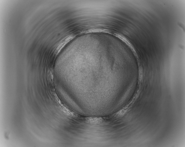 X0000101160809200807251109