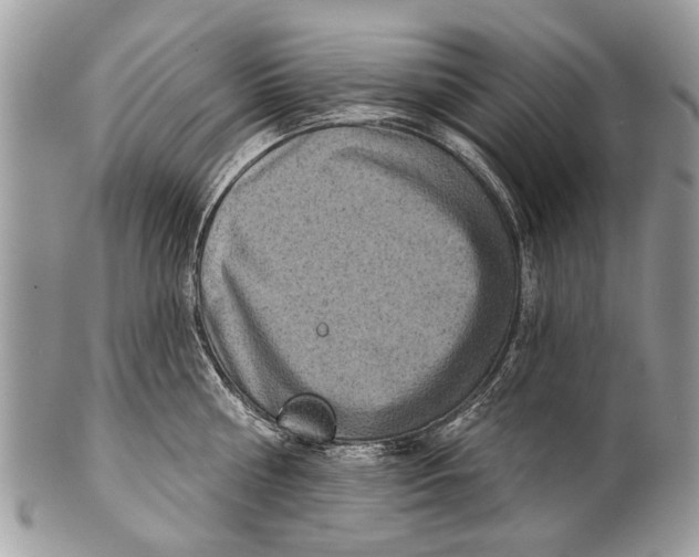 X0000101160810200807251109
