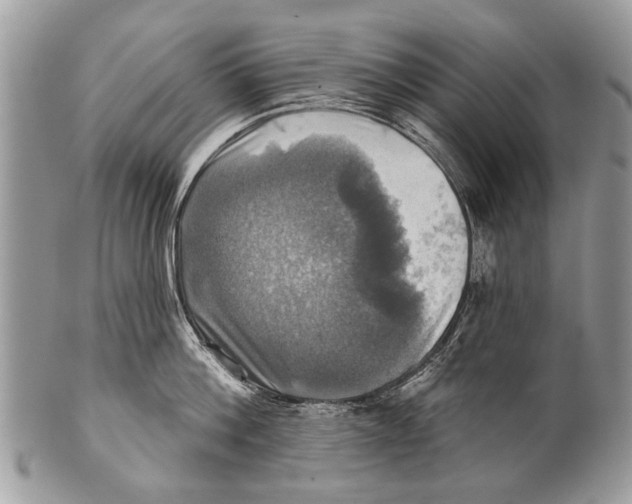 X0000101160812200807251109