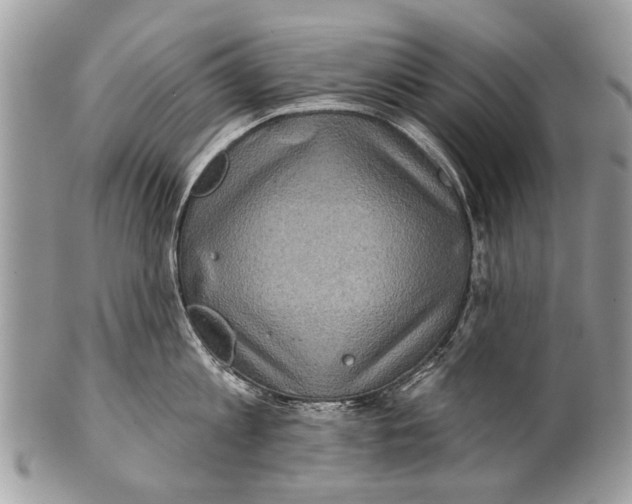 X0000101160813200807251109