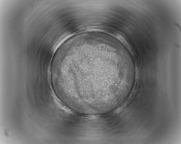 X0000101160814200807251109