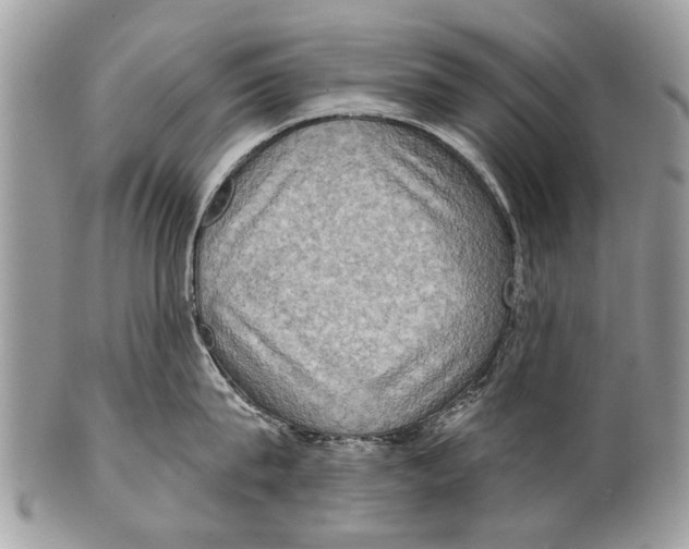 X0000101160815200807251109