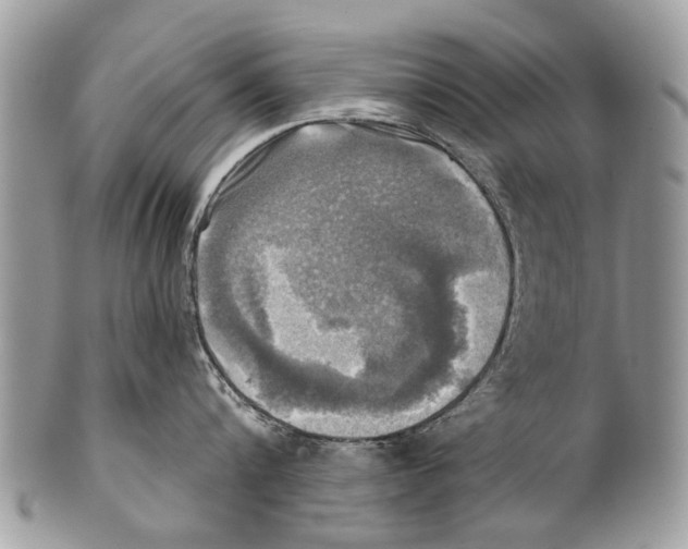 X0000101160816200807251109