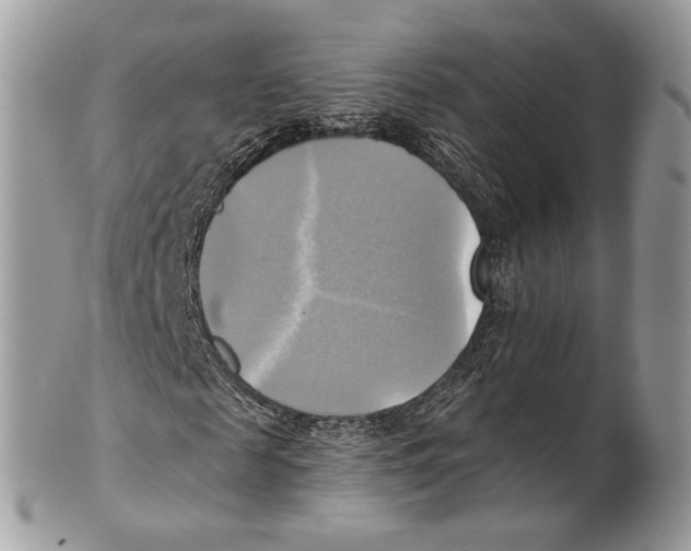 X0000101160817200807251109