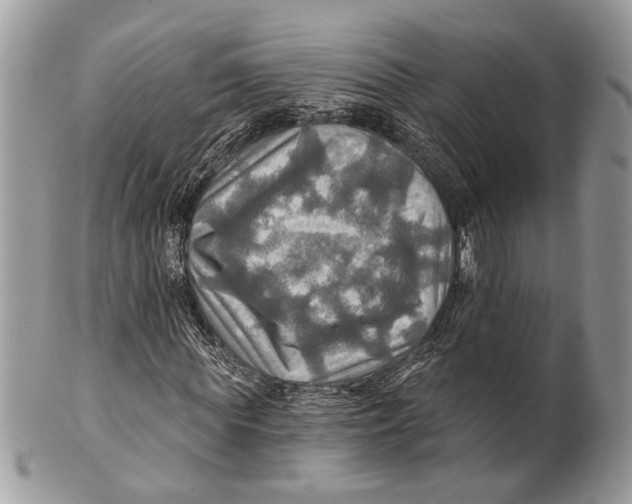 X0000101160819200807251109