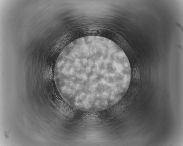 X0000101160820200807251109