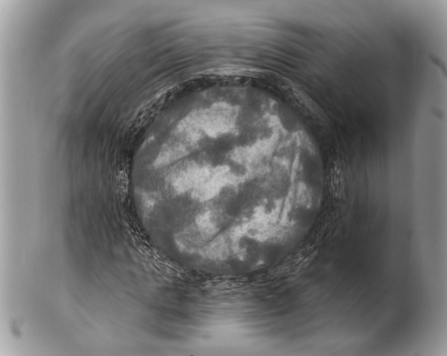 X0000101160821200807251109